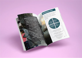 Portfolio item